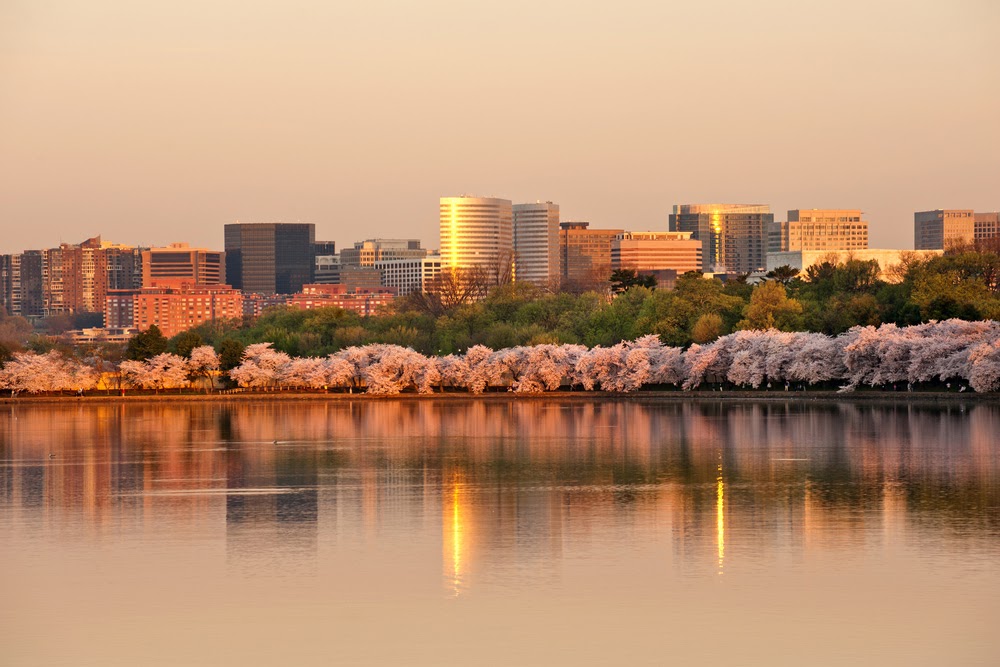 downtownarlington01